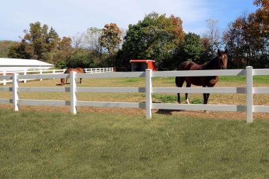 3-Rail Horse Fence