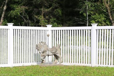 Yard Fence