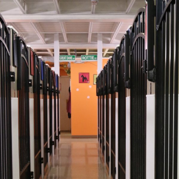 Black Aluminum Walk Gates for Dog Boarding Kennel