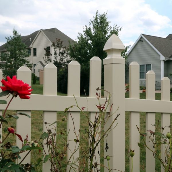 Tan Hamilton Fencing with Concave Top