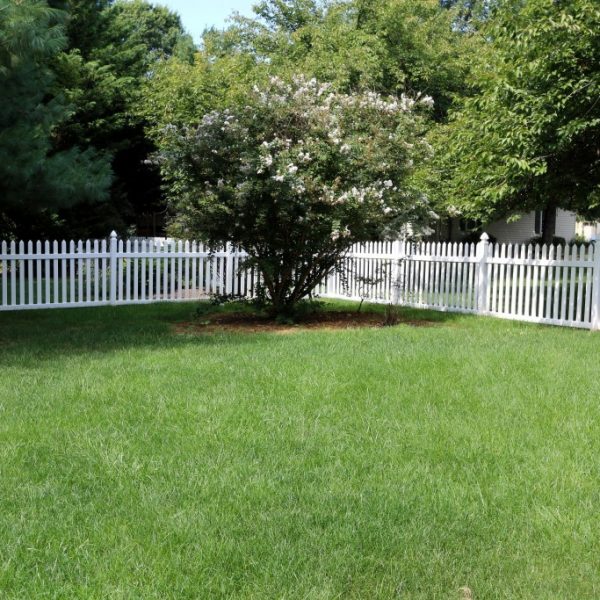 Vinyl Herkimer Straight Top Fence