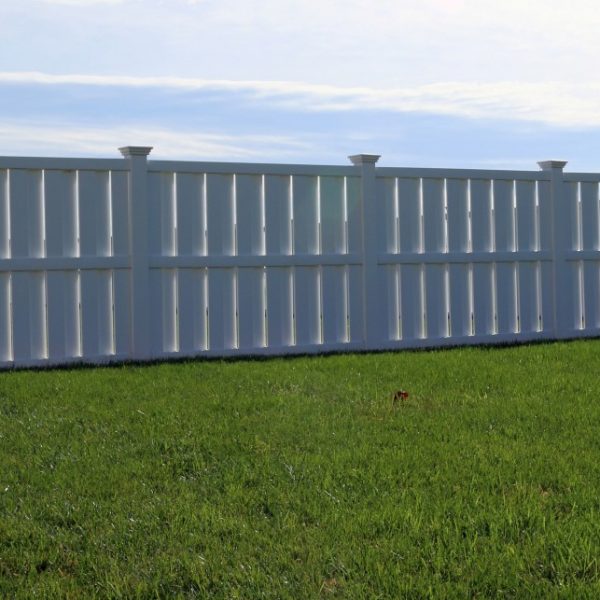 Shadow Box Fencing