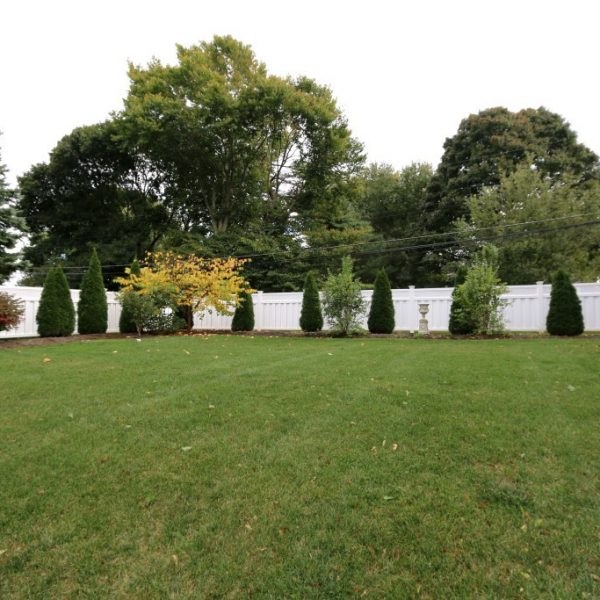 White vinyl fencing surrounding shrubbery