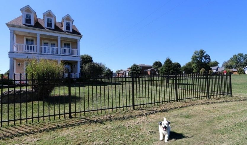 Metal Fence Styles